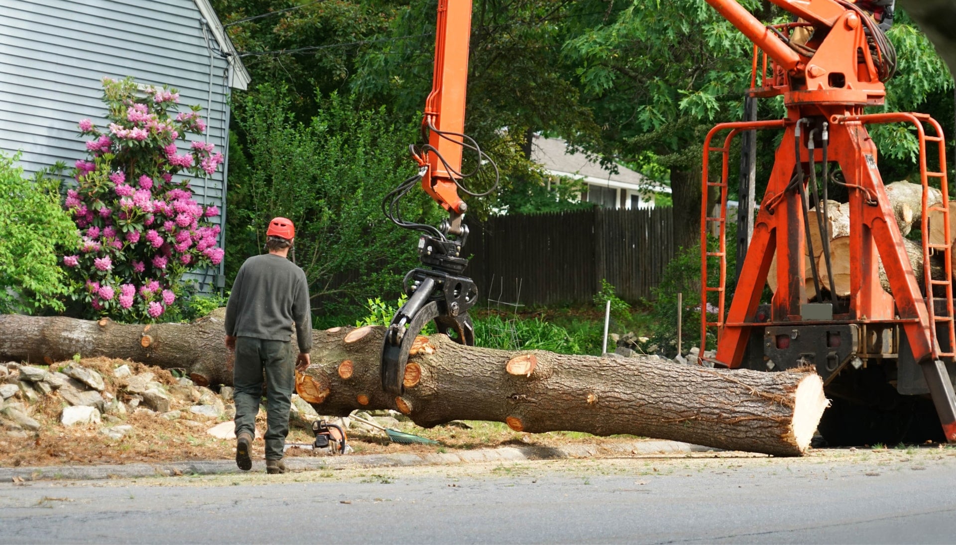 Local partner for Tree removal services in Huntington