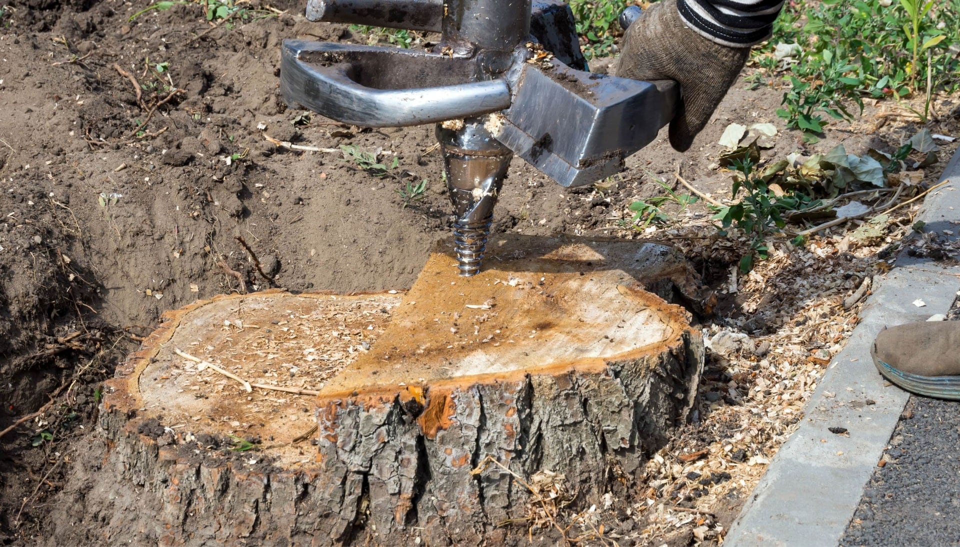 Huntington Tree stump removal